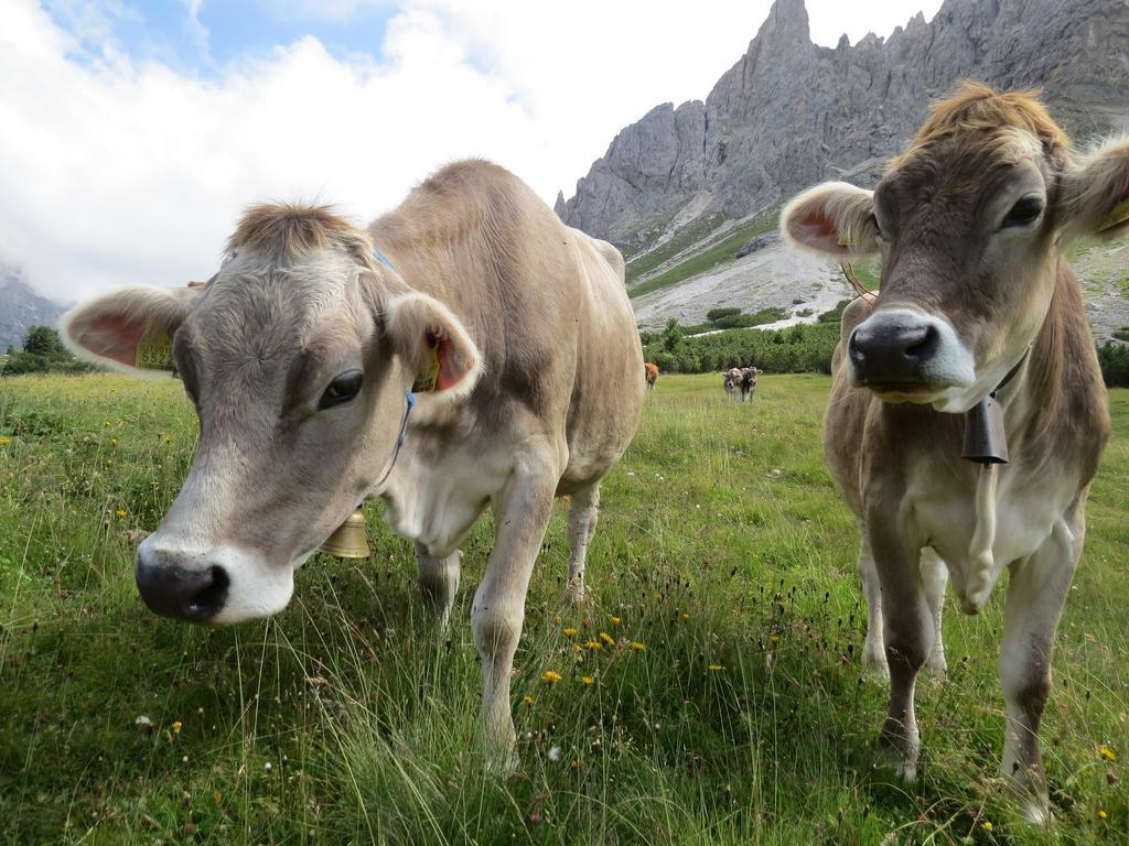 Kabishof Vakantieboerderij Funes (Bolzano)